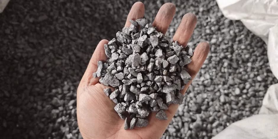 جوانه زا باریمی چیست؟