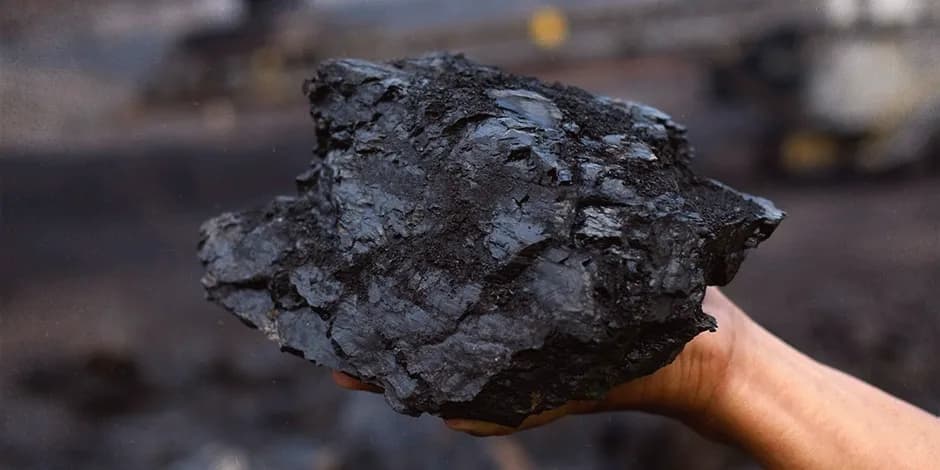 زغال سنگ چیست؟ ( انواع، کاربرد و مراحل تشکیل زغال سنگ)